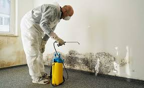 Trusted Powells Crossroads, TN Mold Removal & Remediation Experts